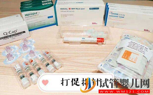 做试管促排费用要多少?(图2) 做试管促排费用要多少?(图2)