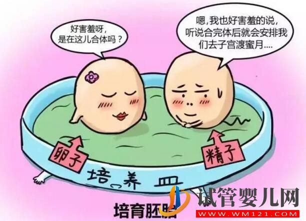 人工授精和试管婴儿的区别及手术费用是多少?(图3) 和田人工授精和试管婴儿的区别及手术费用是多少?(图3)
