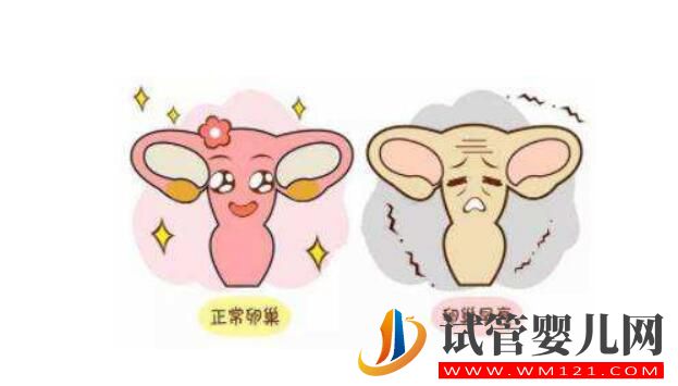 卵巢功能不好能做试管婴儿吗?(图3) 卵巢功能不好能做试管婴儿吗?(图3)