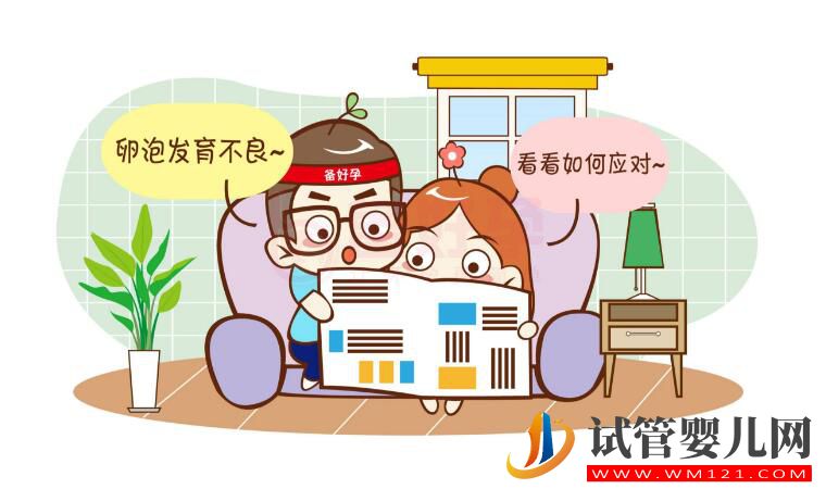 试管卵子质量不好怎么办?(图4) 试管卵子质量不好怎么办?(图4)
