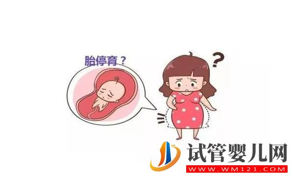 胎停育后能再次怀孕吗?(图1) 胎停育后能再次怀孕吗?(图1)