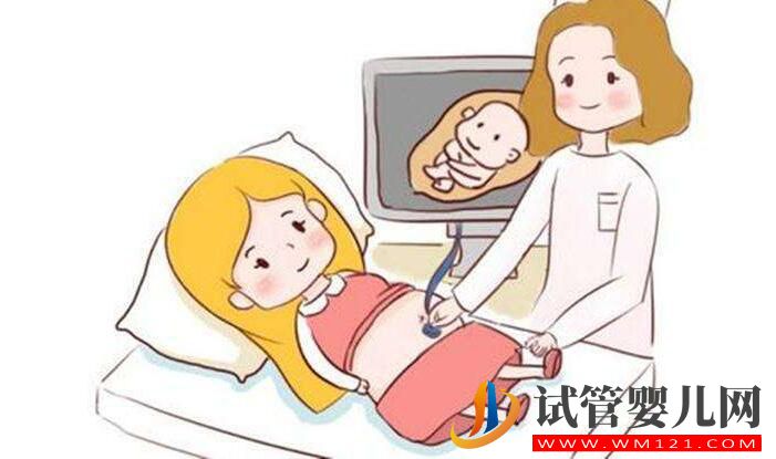 胎停育后能再次怀孕吗?(图5) 胎停育后能再次怀孕吗?(图5)