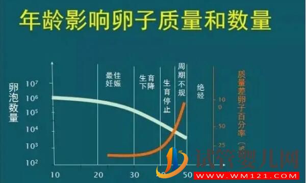 fsh值35偏高能否做试管婴儿,做好这三点很重要,你也来试试!(图1) fsh值35偏高能否做试管婴儿,做好这三点很重要,你也来试试!(图1)