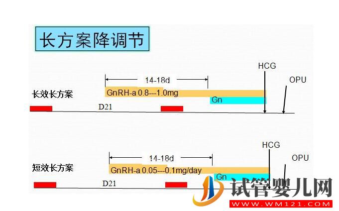 做试管促排方案不会选?(图1) 做试管促排方案不会选?(图1)