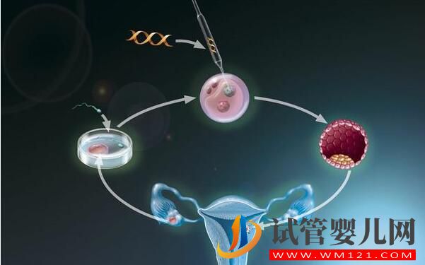 试管婴儿适合那些人做?(图3) 南通试管婴儿适合那些人做?(图3)