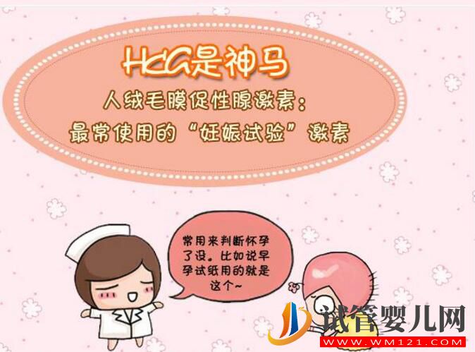 HCG对准妈妈有哪些作用?(图2) HCG对准妈妈有哪些作用?(图2)