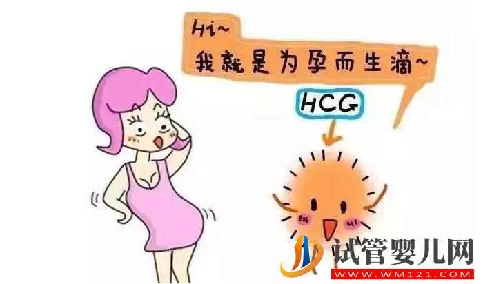 HCG对准妈妈有哪些作用?(图1) HCG对准妈妈有哪些作用?(图1)