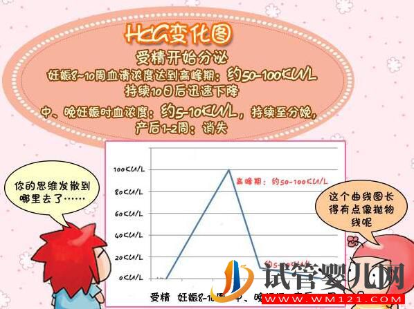 HCG对准妈妈有哪些作用?(图3) HCG对准妈妈有哪些作用?(图3)