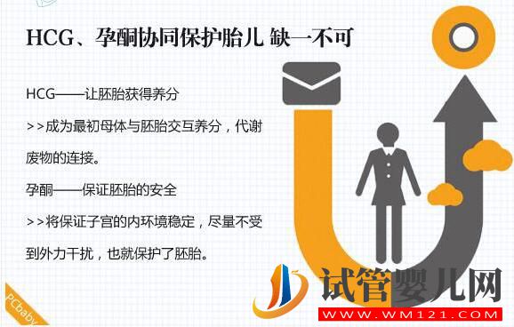 HCG对准妈妈有哪些作用?(图4) HCG对准妈妈有哪些作用?(图4)