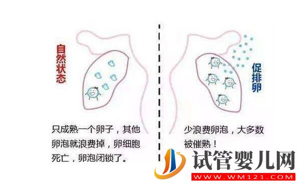 试管的促排方案有哪些?(图8) 阿图什试管的促排方案有哪些?(图8)