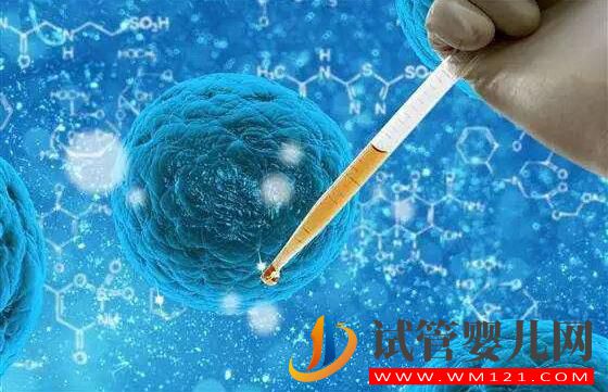 哪些因素影响试管婴儿移植的成功?(图1) 哪些因素影响试管婴儿移植的成功?(图1)