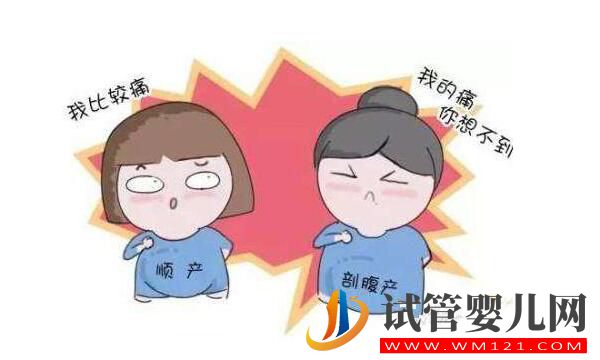 试管婴儿生宝宝顺产还是剖腹产?(图1) 试管婴儿生宝宝顺产还是剖腹产?(图1)