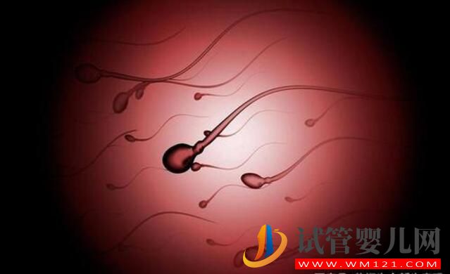 想生二胎什么情况可以做试管婴儿?(图1) 想生二胎什么情况可以做试管婴儿?(图1)