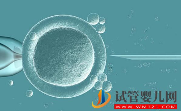 想生二胎什么情况可以做试管婴儿?(图4) 想生二胎什么情况可以做试管婴儿?(图4)