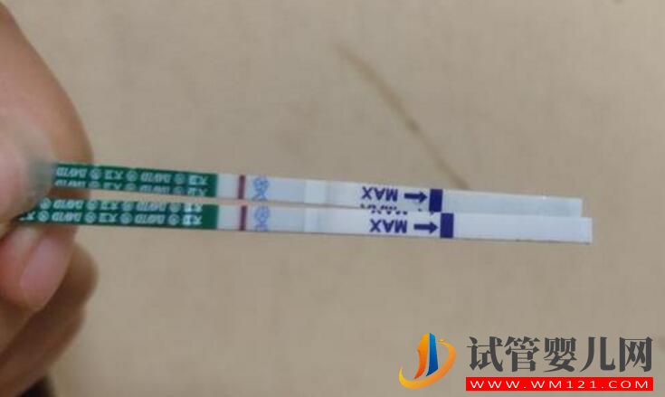 做了试管婴儿后还能自然怀上吗?(图3) 做了试管婴儿后还能自然怀上吗?(图3)