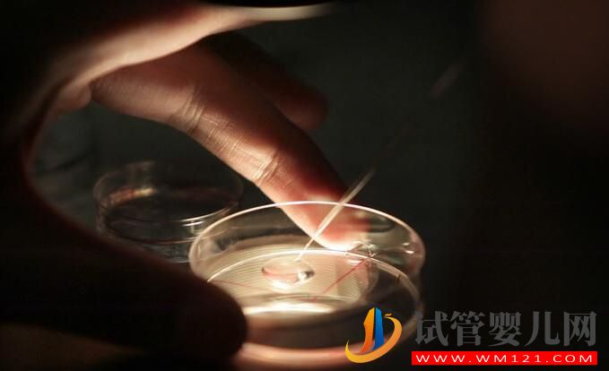 做试管婴儿多少岁比较合适?(图4) 做试管婴儿多少岁比较合适?(图4)