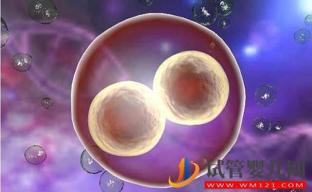 做试管婴儿整个环节有哪些?(图2) 做试管婴儿整个环节有哪些?(图2)