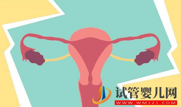 做试管婴儿周期取多少卵子比较合适(图1) 做试管婴儿周期取多少卵子比较合适(图1)