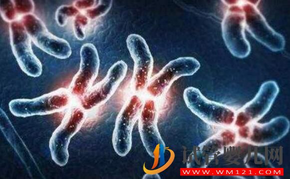 做试管婴儿后身体出现这些症状正常吗?(图5) 做试管婴儿后身体出现这些症状正常吗?(图5)