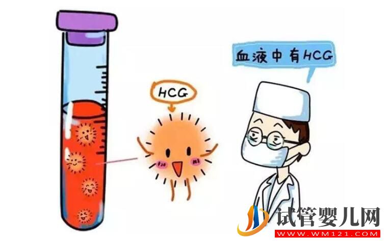 试管婴儿移植后为什么会出血?胚胎移植后出血的原因有哪些(图2) 试管婴儿移植后为什么会出血?胚胎移植后出血的原因有哪些(图2)