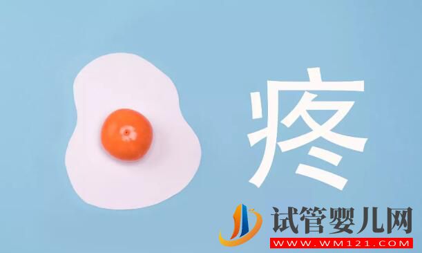 试管婴儿微痛取卵是如何做到的?需注意什么?(图5) 试管婴儿微痛取卵是如何做到的?需注意什么?(图5)