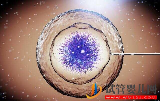 试管婴儿胚胎移植的窗口期如何通过指标去判断(图1) 试管婴儿胚胎移植的窗口期如何通过指标去判断(图1)