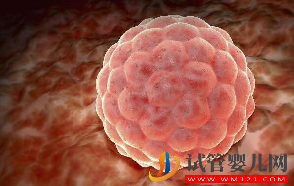 试管婴儿胚胎移植的窗口期如何通过指标去判断(图3) 试管婴儿胚胎移植的窗口期如何通过指标去判断(图3)