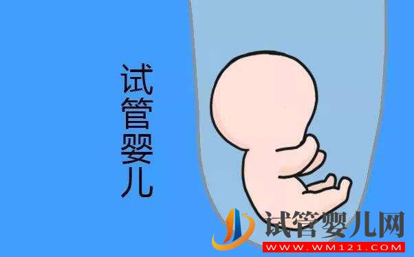 试管婴儿是在哪里长大的?是在试管里长大的吗?(图1) 试管婴儿是在哪里长大的?是在试管里长大的吗?(图1)