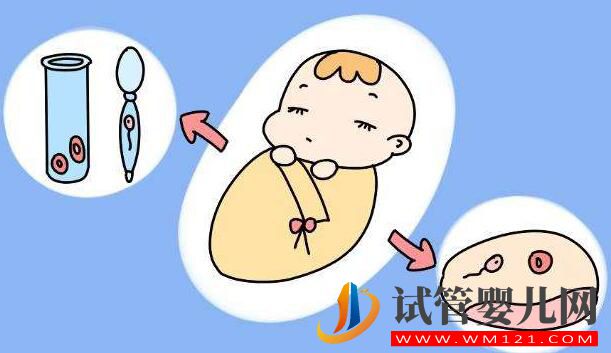 试管婴儿是在哪里长大的?是在试管里长大的吗?(图4) 试管婴儿是在哪里长大的?是在试管里长大的吗?(图4)