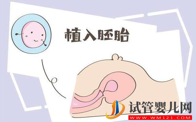 做试管婴儿需要具备哪些条件?哪些人不能做试管婴儿(图2) 做试管婴儿需要具备哪些条件?哪些人不能做试管婴儿(图2)