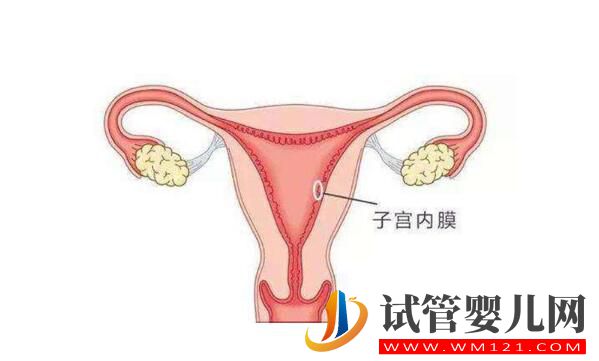 试管备孕中子宫内膜过薄应该要怎么办(图2) 试管备孕中子宫内膜过薄应该要怎么办(图2)
