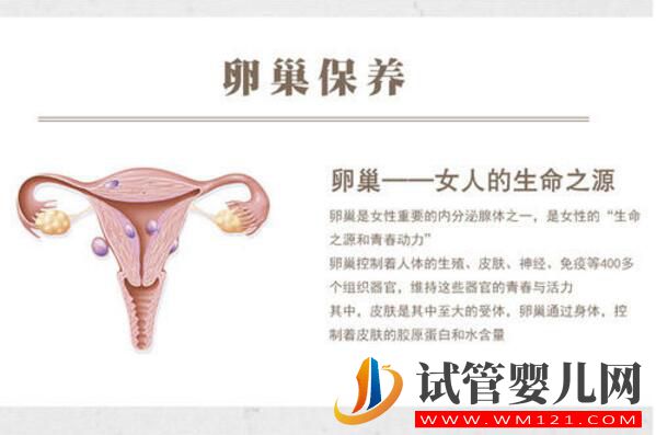 高龄夫妻做试管如何备孕提高成功率(图3) 高龄夫妻做试管如何备孕提高成功率(图3)