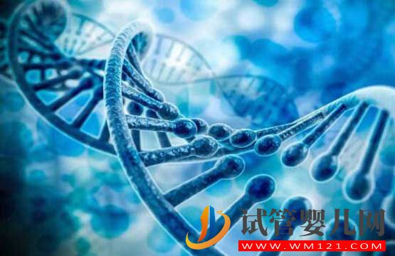试管婴儿可以避免先天性聋哑等遗传性疾病吗(图1) 试管婴儿可以避免先天性聋哑等遗传性疾病吗(图1)