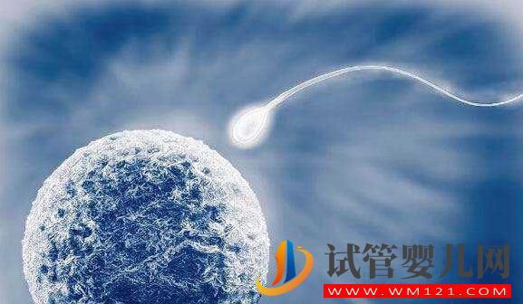 高龄女性做试管如何提高成功率?要注意什么(图2) 高龄女性做试管如何提高成功率?要注意什么(图2)