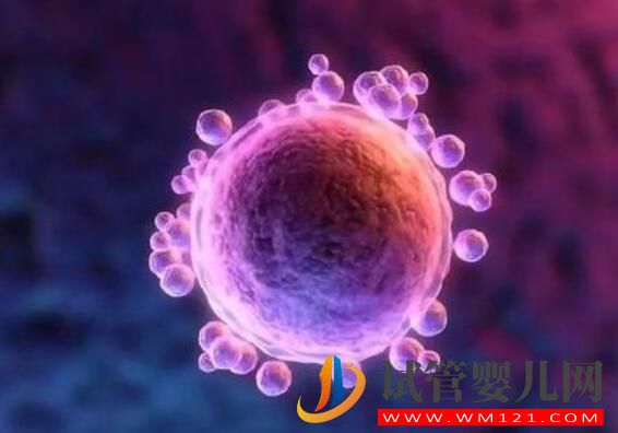 做完试管的怀孕症状你了解吗!(图1) 做完试管的怀孕症状你了解吗!(图1)