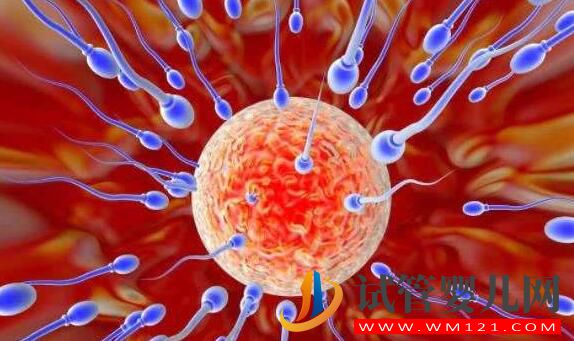 备孕时有什么需要注意的?准妈妈们心情抑郁了怎么办?(图3) 备孕时有什么需要注意的?准妈妈们心情抑郁了怎么办?(图3)