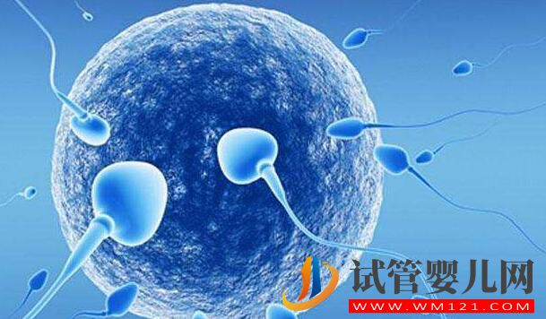 试管前的精液检查有什么需要注意的?染色体缺失有影响吗?(图1) 试管前的精液检查有什么需要注意的?染色体缺失有影响吗?(图1)