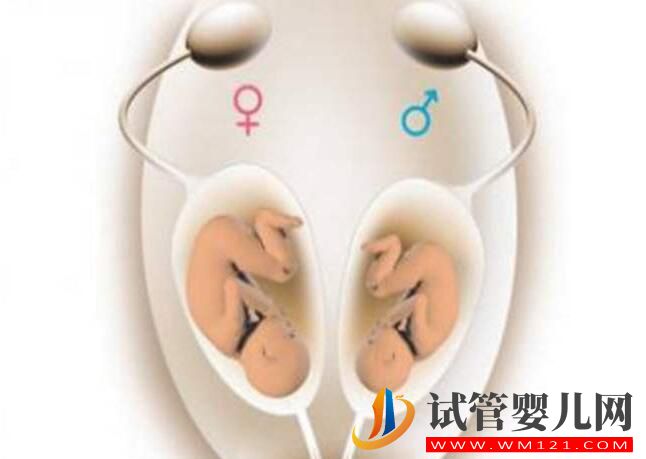 高龄女性做试管应该选择第几代技术?(图1) 高龄女性做试管应该选择第几代技术?(图1)