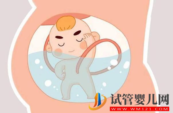羊水的秘密你知道吗?带您了解女性的生育奥秘!(图1) 羊水的秘密你知道吗?带您了解女性的生育奥秘!(图1)
