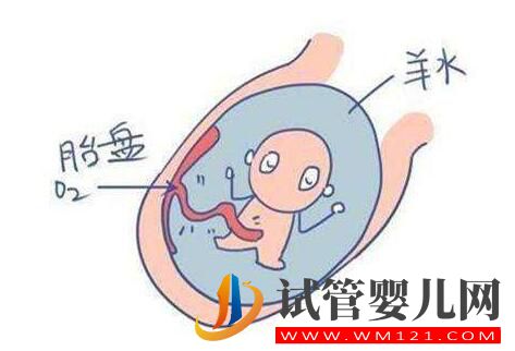 羊水的秘密你知道吗?带您了解女性的生育奥秘!(图2) 羊水的秘密你知道吗?带您了解女性的生育奥秘!(图2)