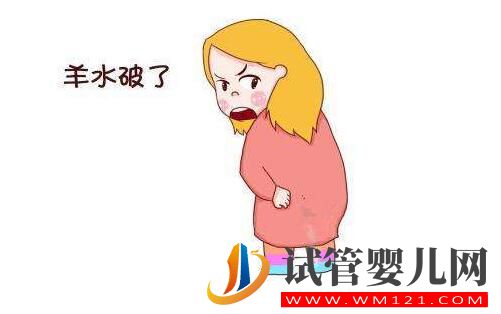 羊水的秘密你知道吗?带您了解女性的生育奥秘!(图3) 羊水的秘密你知道吗?带您了解女性的生育奥秘!(图3)