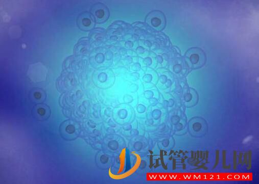 有哪些方法能提高试管婴儿的成功率?怎样提高卵子质量?(图1) 有哪些方法能提高试管婴儿的成功率?怎样提高卵子质量?(图1)