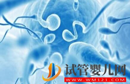 为什么高龄女性要选择做试管?高龄试管会有哪些风险呢?(图1) 为什么高龄女性要选择做试管?高龄试管会有哪些风险呢?(图1)