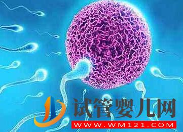 为什么高龄女性要选择做试管?高龄试管会有哪些风险呢?(图4) 为什么高龄女性要选择做试管?高龄试管会有哪些风险呢?(图4)