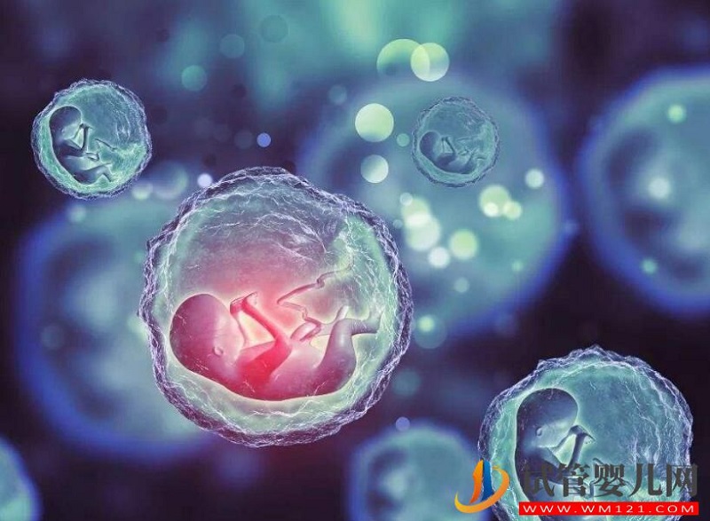 子宫内膜过薄会有什么影响?试管前应该如何预防?(图1) 子宫内膜过薄会有什么影响?试管前应该如何预防?(图1)