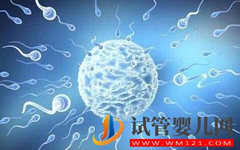 子宫内膜过薄会有什么影响?试管前应该如何预防?(图3) 子宫内膜过薄会有什么影响?试管前应该如何预防?(图3)