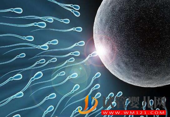 子宫内膜过薄会有什么影响?试管前应该如何预防?(图4) 子宫内膜过薄会有什么影响?试管前应该如何预防?(图4)
