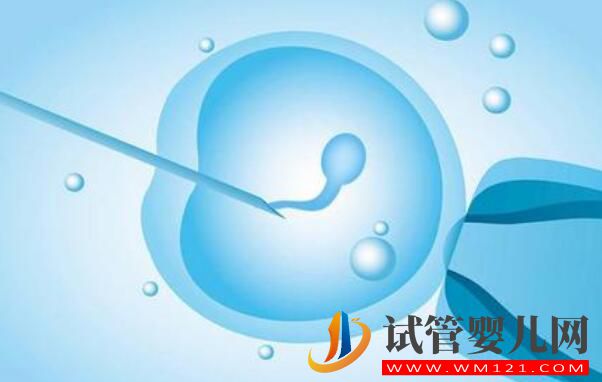 做试管为什么要做检查?都有哪些检查项目?(图3) 做试管为什么要做检查?都有哪些检查项目?(图3)