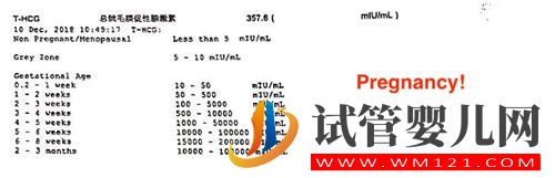 左侧卵巢被割除、三次试管失败她该怎么办?(图6) 左侧卵巢被割除、三次试管失败她该怎么办?(图6)