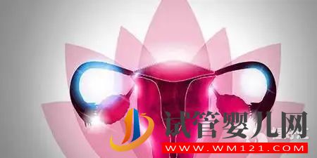 子宫疾病 当身体发出这些信号时,要留意子宫问题了(图2)